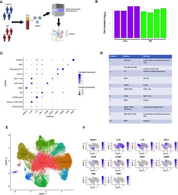 Primary oxidative phosphorylation defects lead to perturbations in the human B cell repertoire